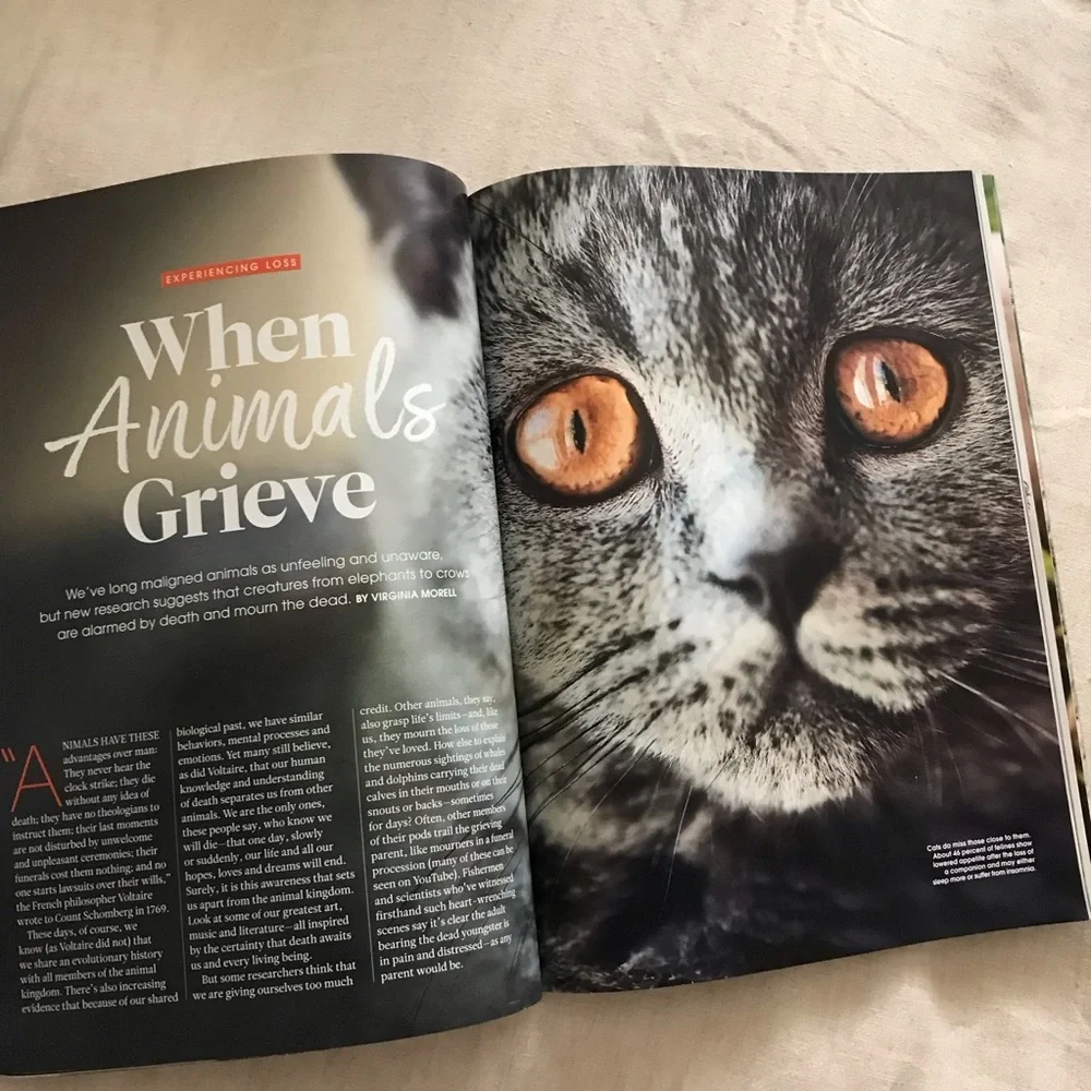 FREE The Ultimate Guide to the Animal Mind - Picture 3 of 10